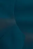 sukienka-paola-34-dlugosc-mini