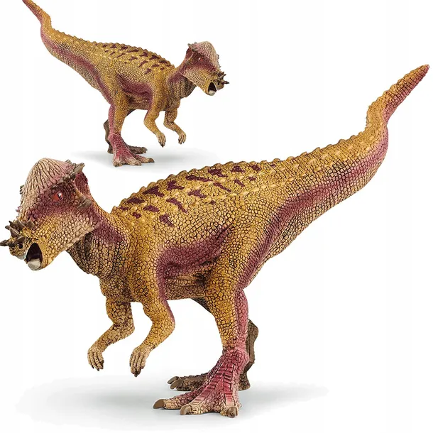 pachycephalosaurus-stan-nowy