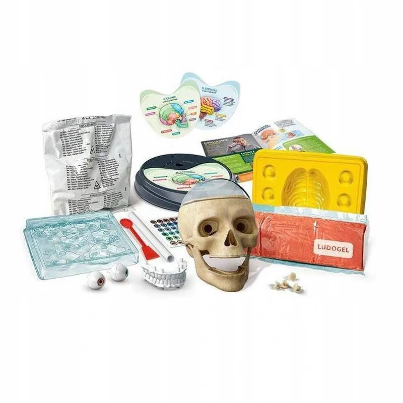 clementoni-anatomia-50697