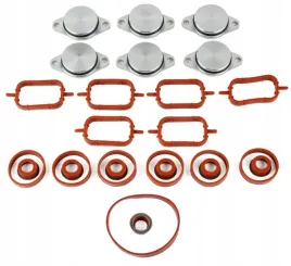 zaslepki-kolektora-ssacego-bmw-2-5d-3-0d-3-5-d-m57