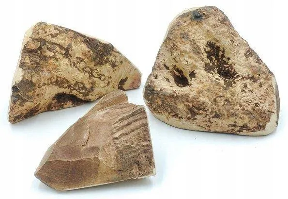 gryzak-s-z-wrzosca-przeznaczenie-przysmaki-naturalne