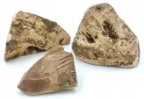 gryzak-s-z-wrzosca-przeznaczenie-przysmaki-naturalne