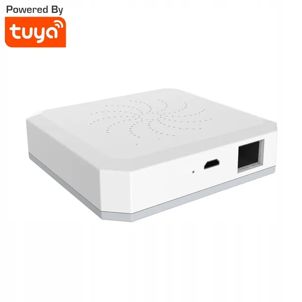inteligentna-centralka-sonoff-zigbee-bridge-rodzaj-centrala-sterujaca