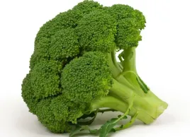 brokul-1szt