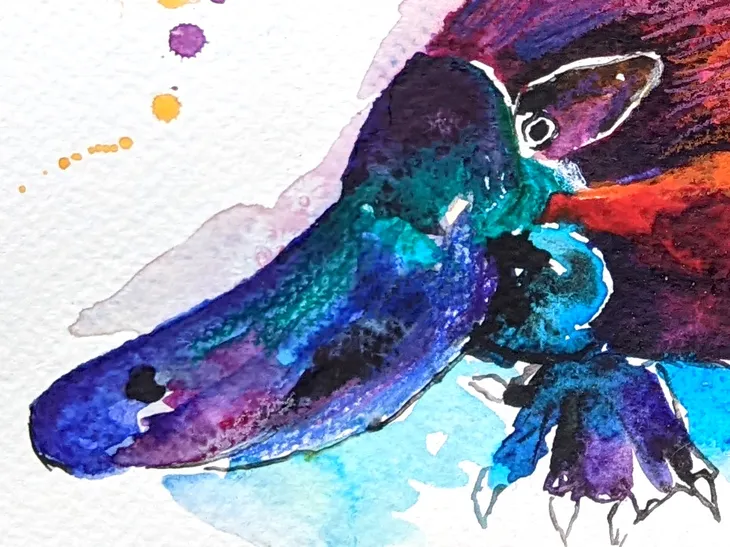 dziobak-platypus-akwarela-oryginalna-waga-z-opakowaniem-0-5-kg