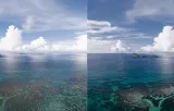 filtr-cpl-pgytech-do-dji-osmo-action-3-waga-z-opakowaniem-0-3-kg