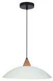 otriks-zwis-40-1x60w-e27