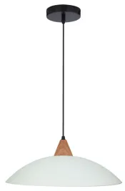 otriks-zwis-40-1x60w-e27