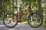 rower-superior-xp-919-gloss-dark-red-19-waga-z-opakowaniem-11000-kg