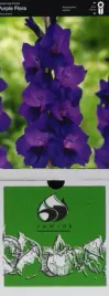 mieczyk-purple-flora-5-szt