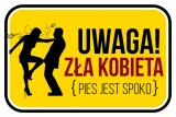 zla-kobieta-20x30
