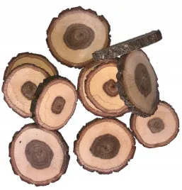 naturalne-plastry-drewna-dab-krazki-2-5cm-30szt