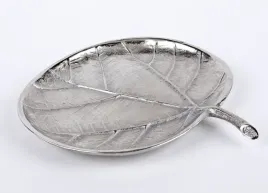 patera-lisc
