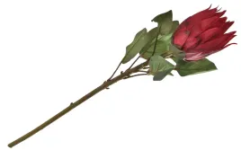 protea-kwiat-sztuczny-70-cm