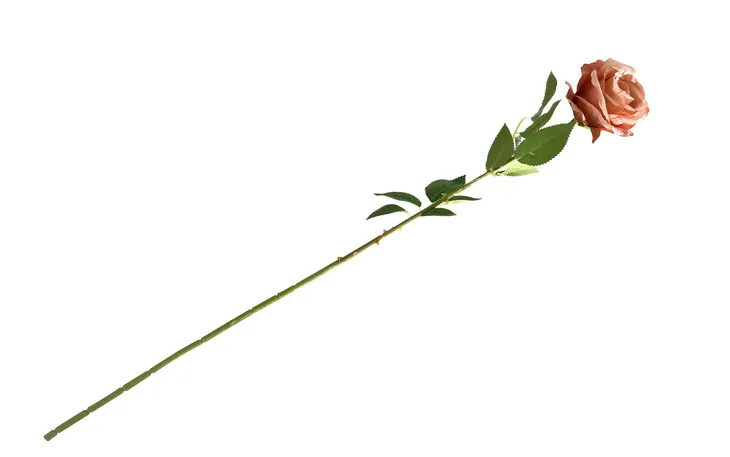 dluga-roza-ozdobna-78-cm-stan-nowy