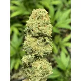 pineapple-express-susz-cbd-19percent-3g-stan-nowy