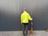 jablon-malus-kolumnowa-close-styl-ogrod-nowoczesny