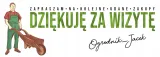 roza-rabatowa-rosa-multiflora-zolta-styl-ogrod-nowoczesny-roslina-w-postaci-sadzonka-z-golym-korzeniem