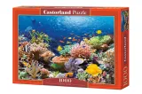puzzle-1000-el-coral-reef
