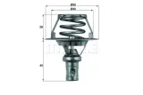 termostat-renault-behr-stan-nowy