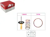 termostat-toyota-eps