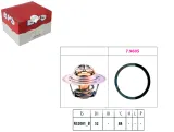 termostat-rover-214i-eps