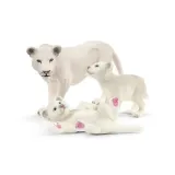 nan