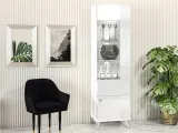 villa-02-bialy-alpejski-witryna-kolor-frontow-bialy