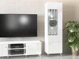 villa-02-bialy-alpejski-witryna-typ-stojaca