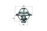 termostat-bmw-volvo-behr-stan-nowy
