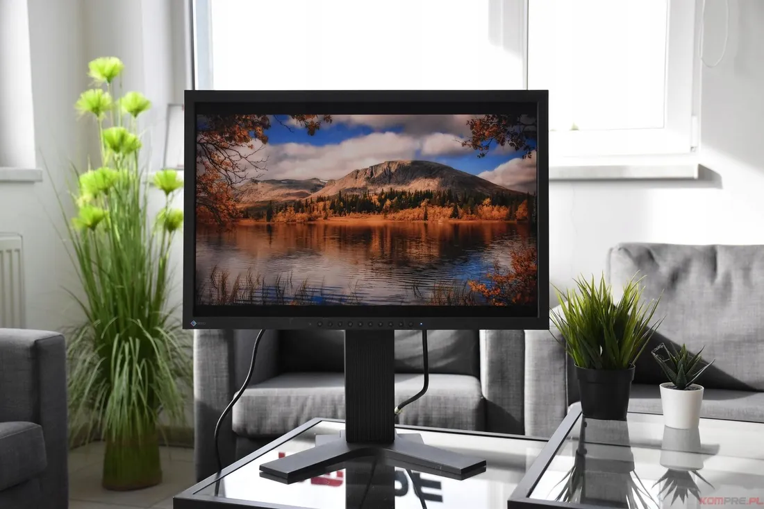 monitor-22-eizo-s2202w-dvi-vga