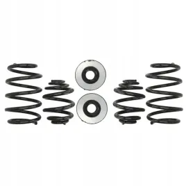 sprezyny-eibach-pro-kit-vw-sharan-7m