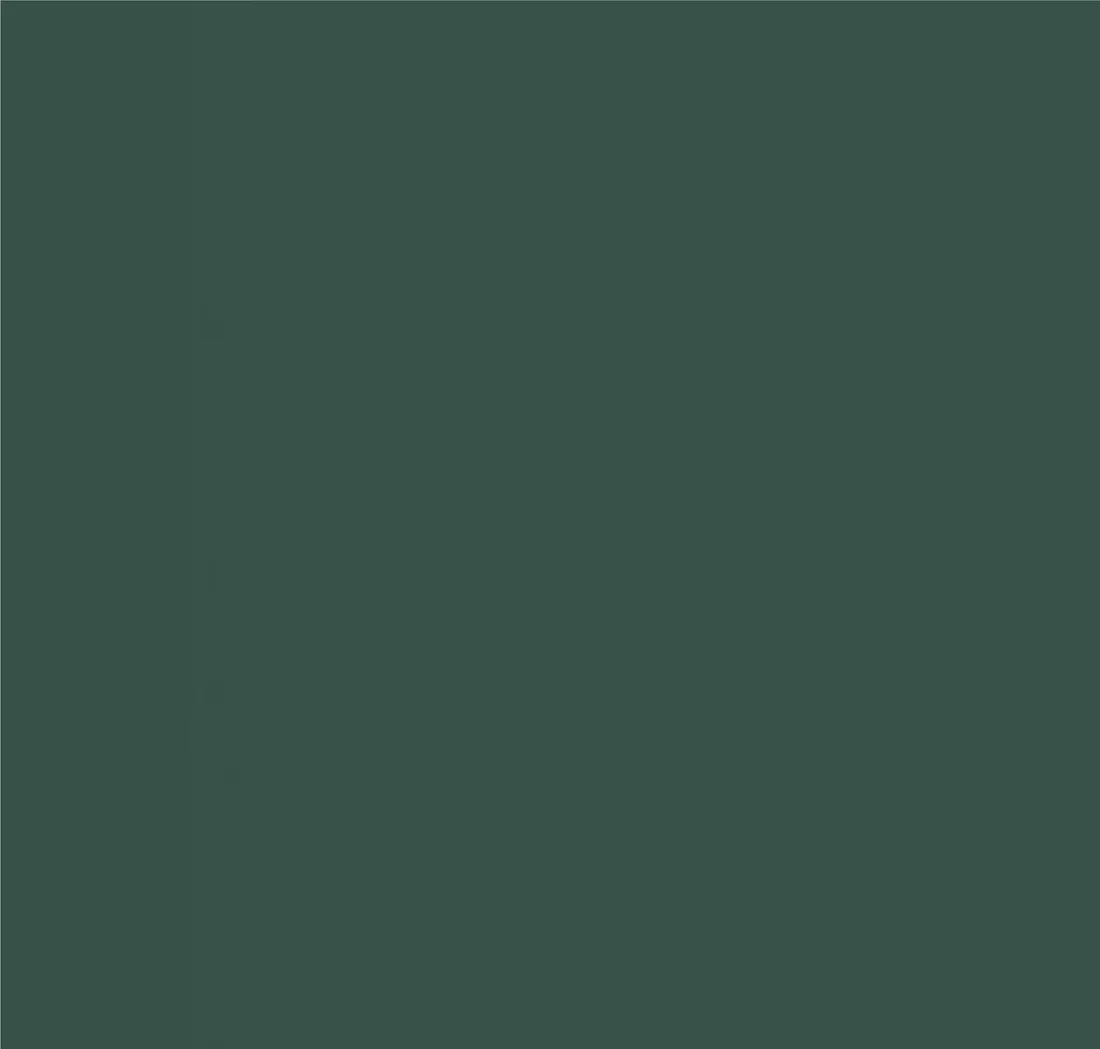 dulux-farba-easycare-plus-zielen-boho-2-5l-stan-nowy