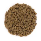 petcool-junior-18kg