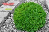 nawoz-pk-premium-25-kg-waga-25-kg