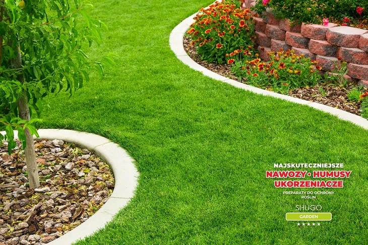 wapno-premium-25-kg-zastosowanie-uniwersalny-do-roslin-domowych-do-roslin-lisciastych-inne-zastosowanie-do-krzewow-owocowych-do-roslin-iglastych-do-trawnikow-do-pielegnacji-kwiatow-do-roslin-kwasolubnych-przeciwko-mchu