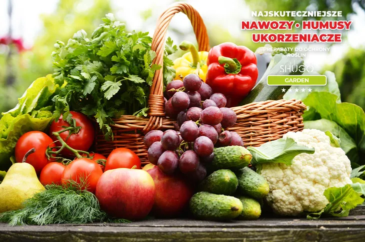 wapno-premium-25-kg-stan-nowy-waga-25-kg