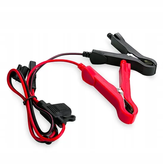 prostownik-do-akumulatorow-everactive-cbc5-6v-12v-stan-nowy-marka-inny