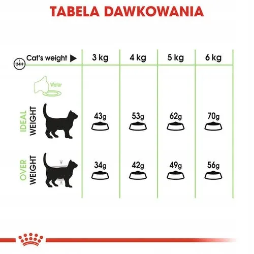 royal-digestive-care-4kg