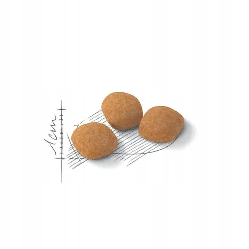 royal-protein-exigent-2kg