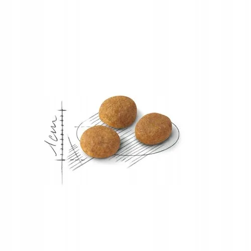 royal-aroma-exigent-10kg