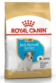 royal-jack-russel-puppy-500g