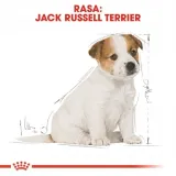 royal-jack-russel-puppy-500g-waga-produktu-do-2-kg