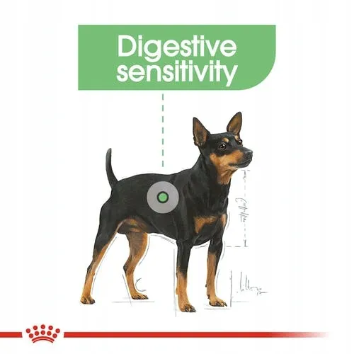 royal-ccn-mini-digestive-care-3kg-marka-royal-canin