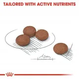 royal-ccn-mini-digestive-care-3kg-waga-produktu-wiecej-niz-2-kg-do-5-kg