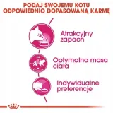 royal-aroma-exigent-2kg-wiek-zwierzecia-koty-dorosle