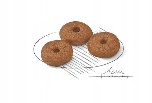 royal-mini-ageing-12-15kg