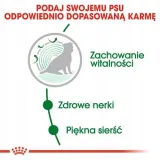 royal-mini-ageing-12-15kg-wiek-zwierzecia-psy-starsze