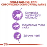 royal-sterilised-7-15kg-waga-produktu-wiecej-niz-1-kg-do-3-kg