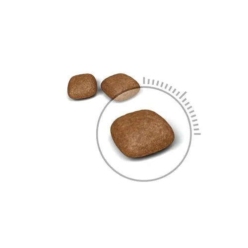 royal-urinary-care-400g